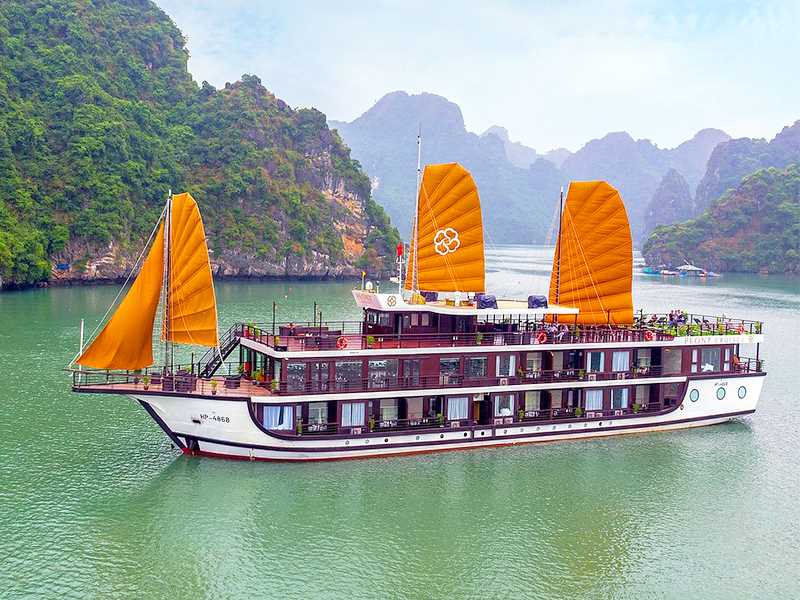 Peony Cruises - 3 Days 2 Nights | Halong Bay & Lan Ha Bay