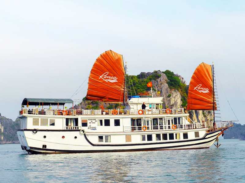 Renea Cruises - 3 Days 2 Nights | Bai Tu Long Bay & Halong Bay